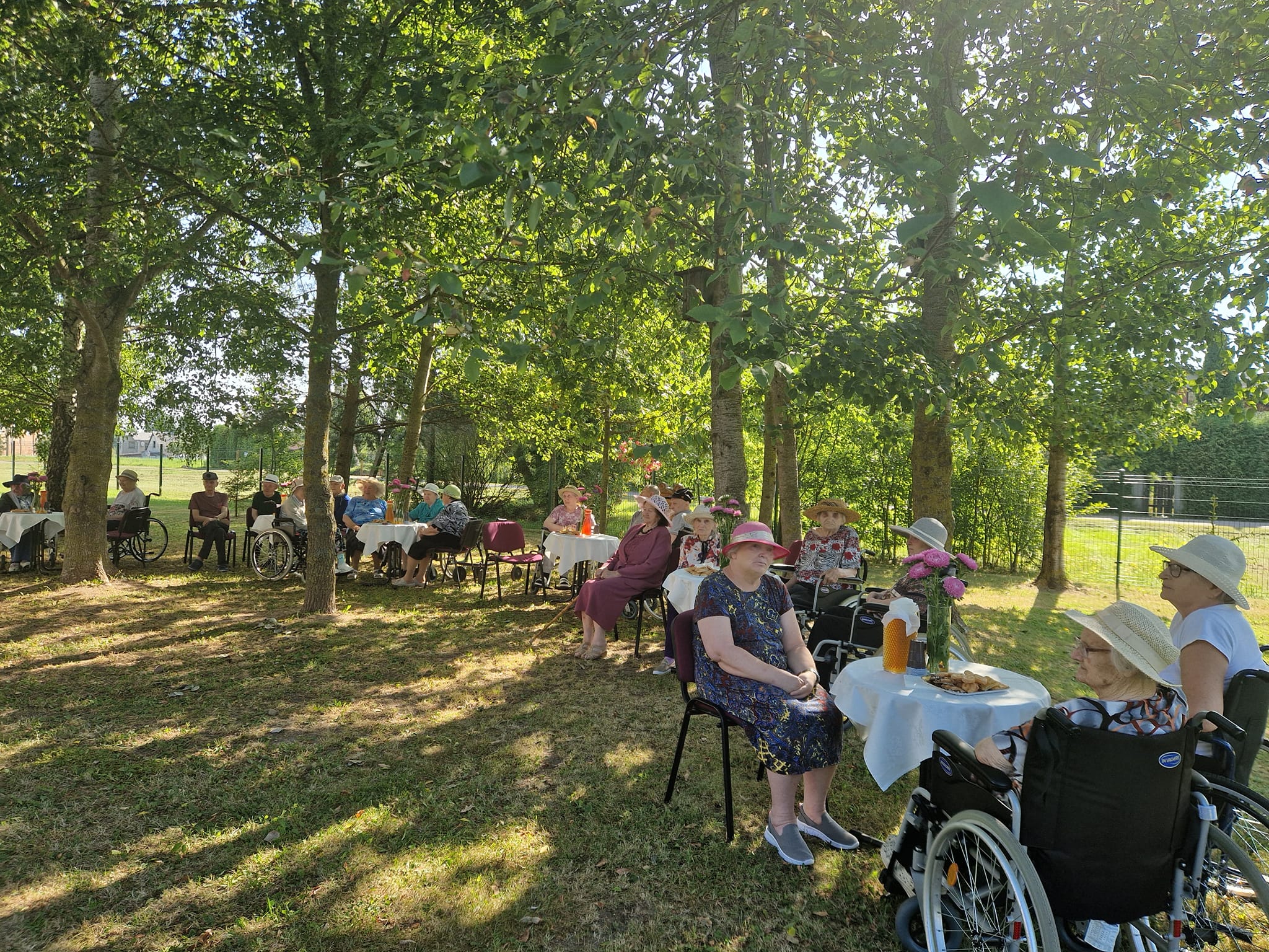 Vasaros palydų piknikas